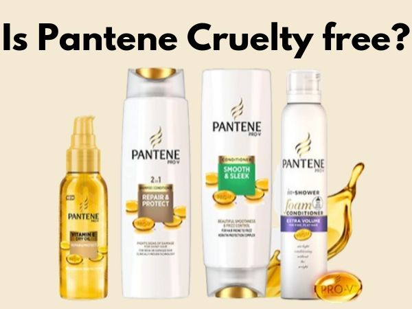 Is Pantene cruelty-free