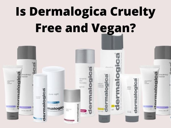 Is Dermalogica Cruelty-Free and Vegan?