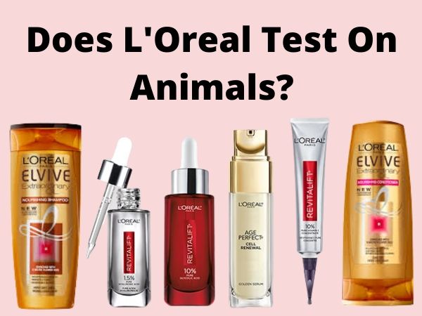 Does L’Oreal Test On Animals?