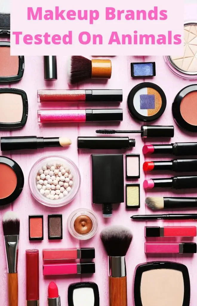 Makeup Brands tested on animals