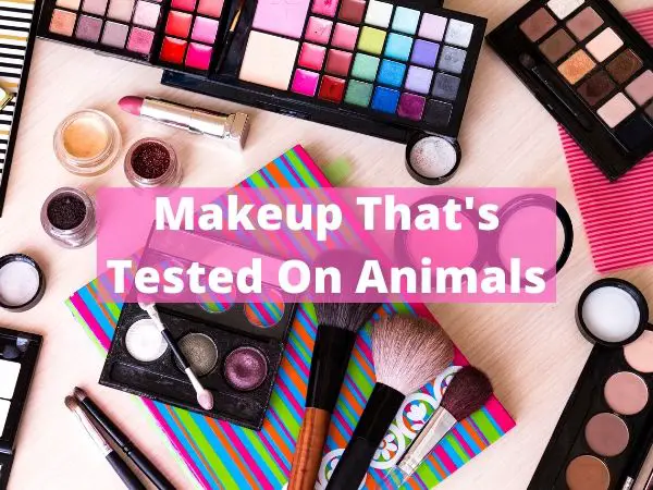 Makeup that's tested on animals
