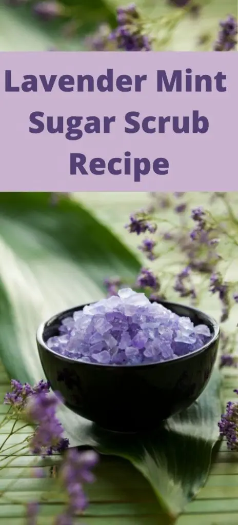 lavender mint homemade sugar scrub recipe