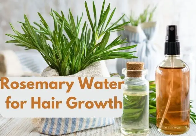 rosemary water for hair growth